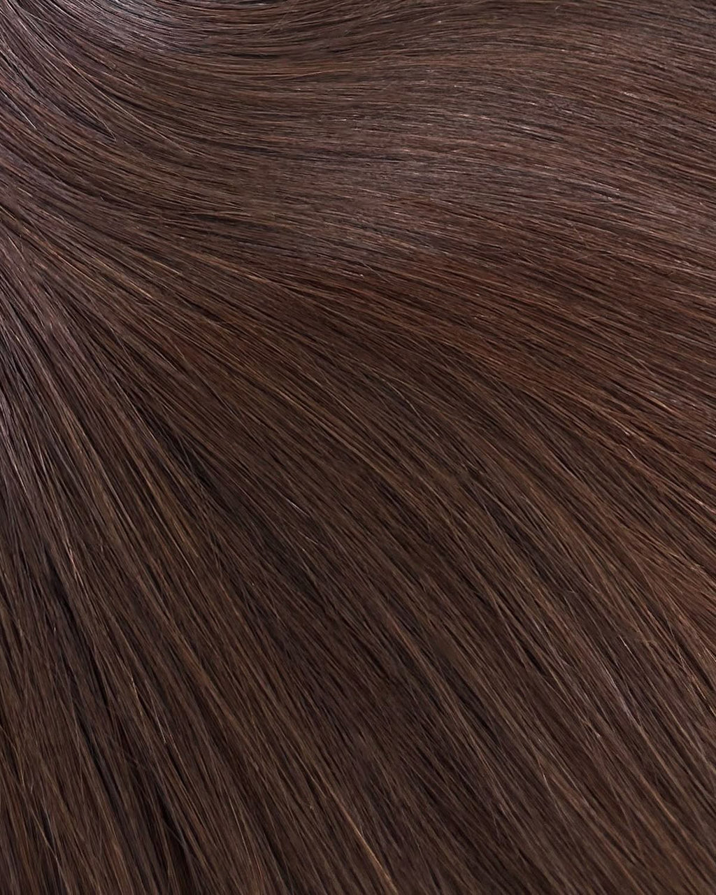 Champagne d’Élysia Highlights Extensions