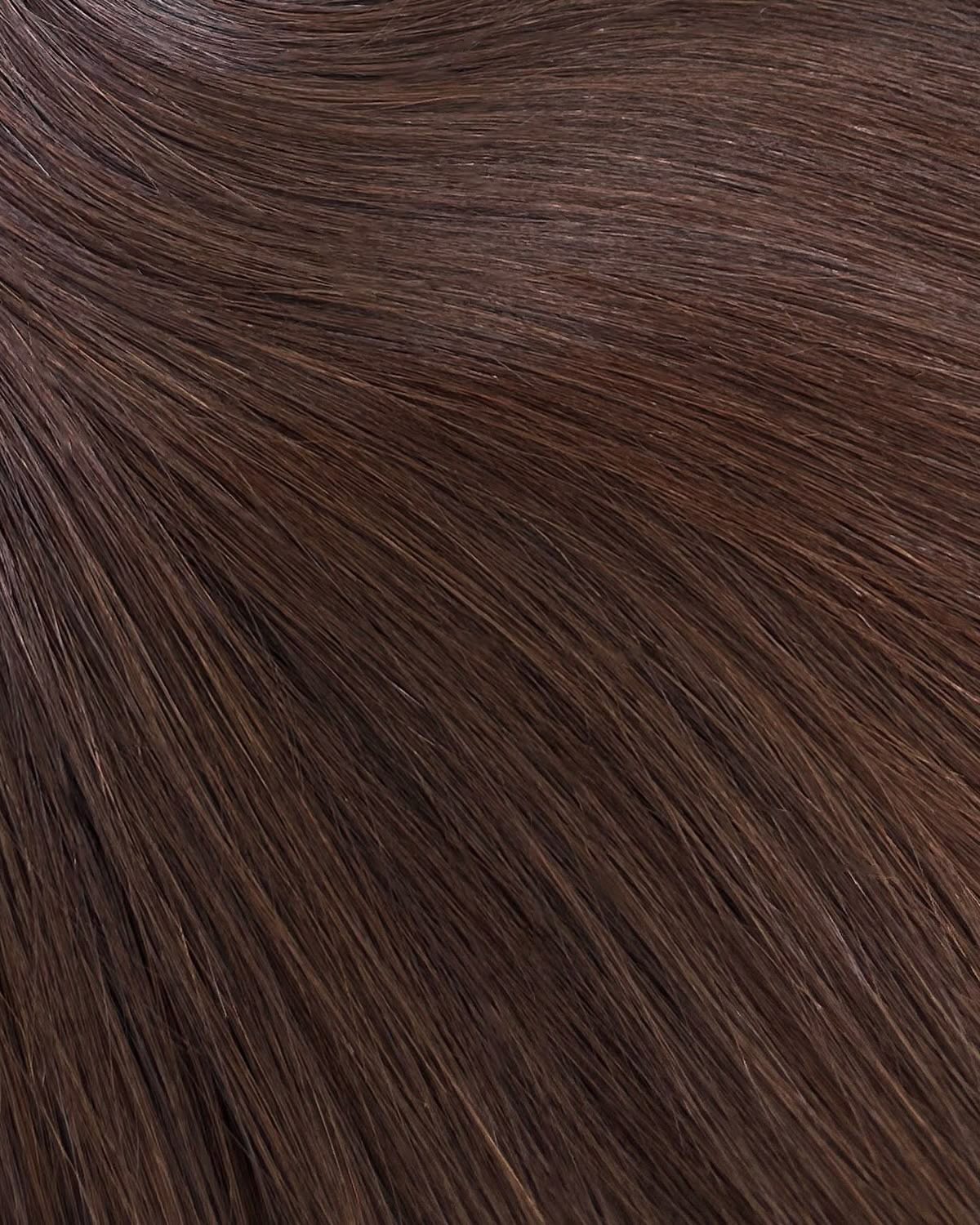 Champagne d’Élysia Highlights Extensions